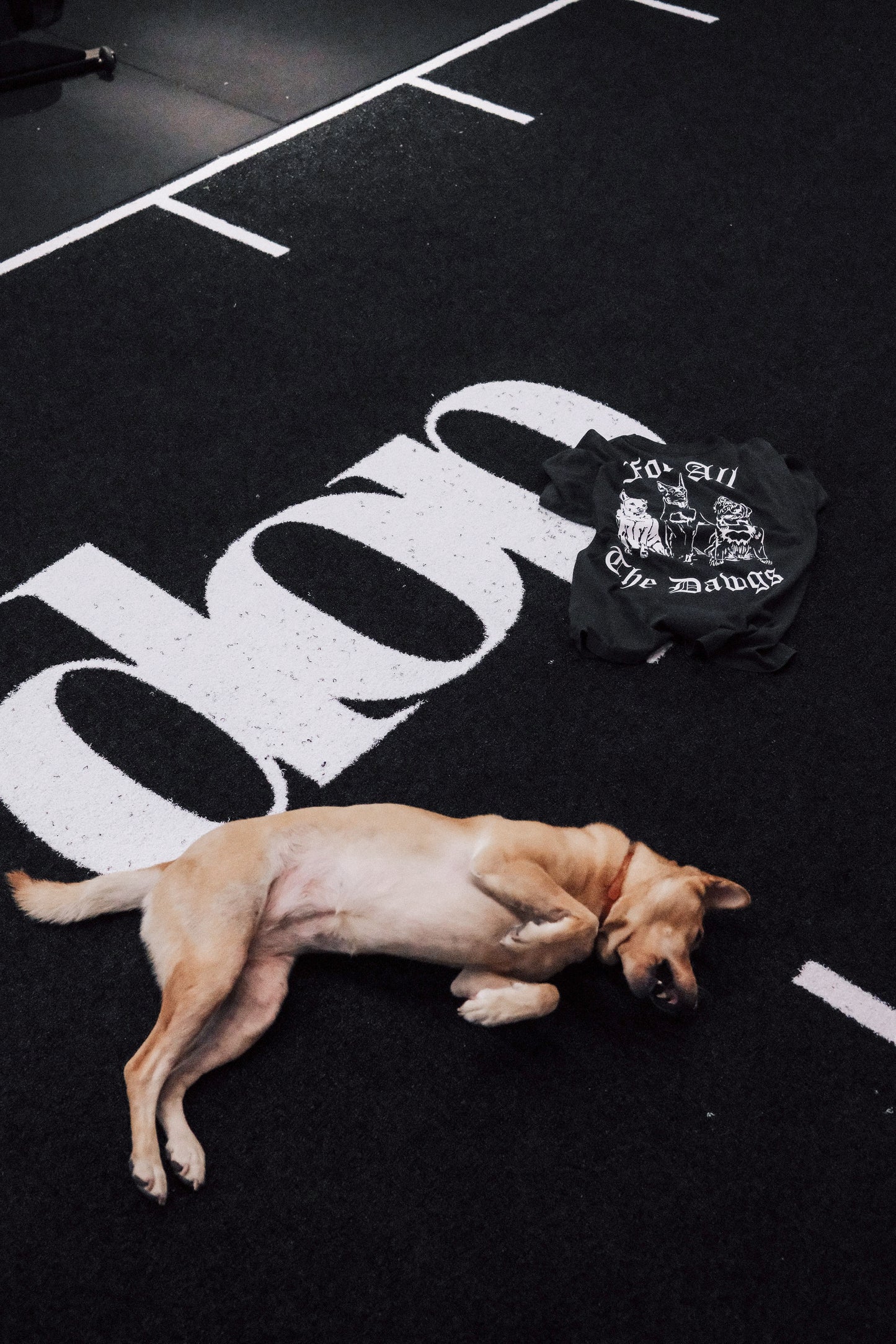 SPCA x DOP - For All The Dawgs