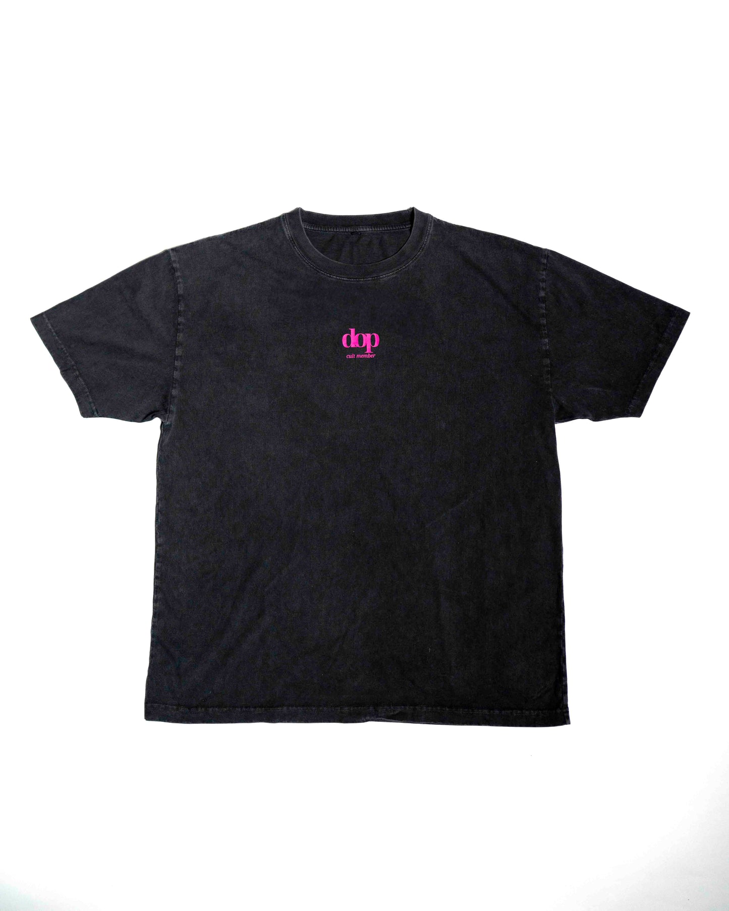 Washed Grey - Cult Member T Shirt