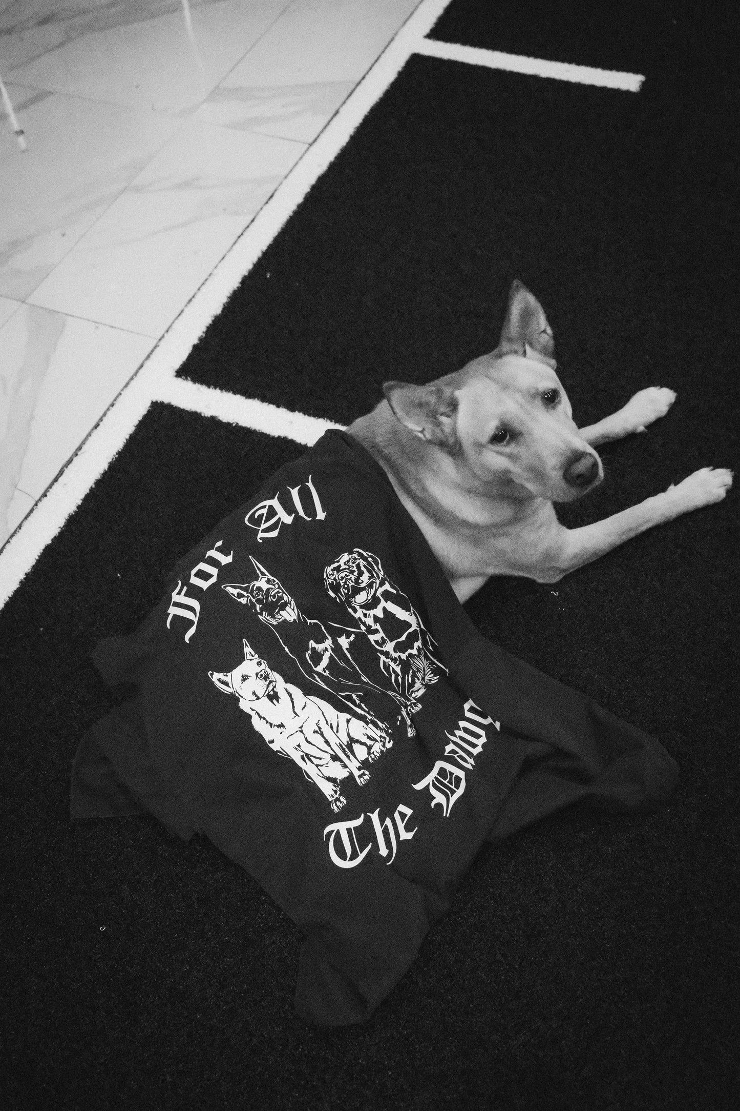 SPCA x DOP - For All The Dawgs