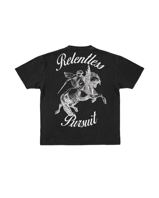 Pegasus T Shirt
