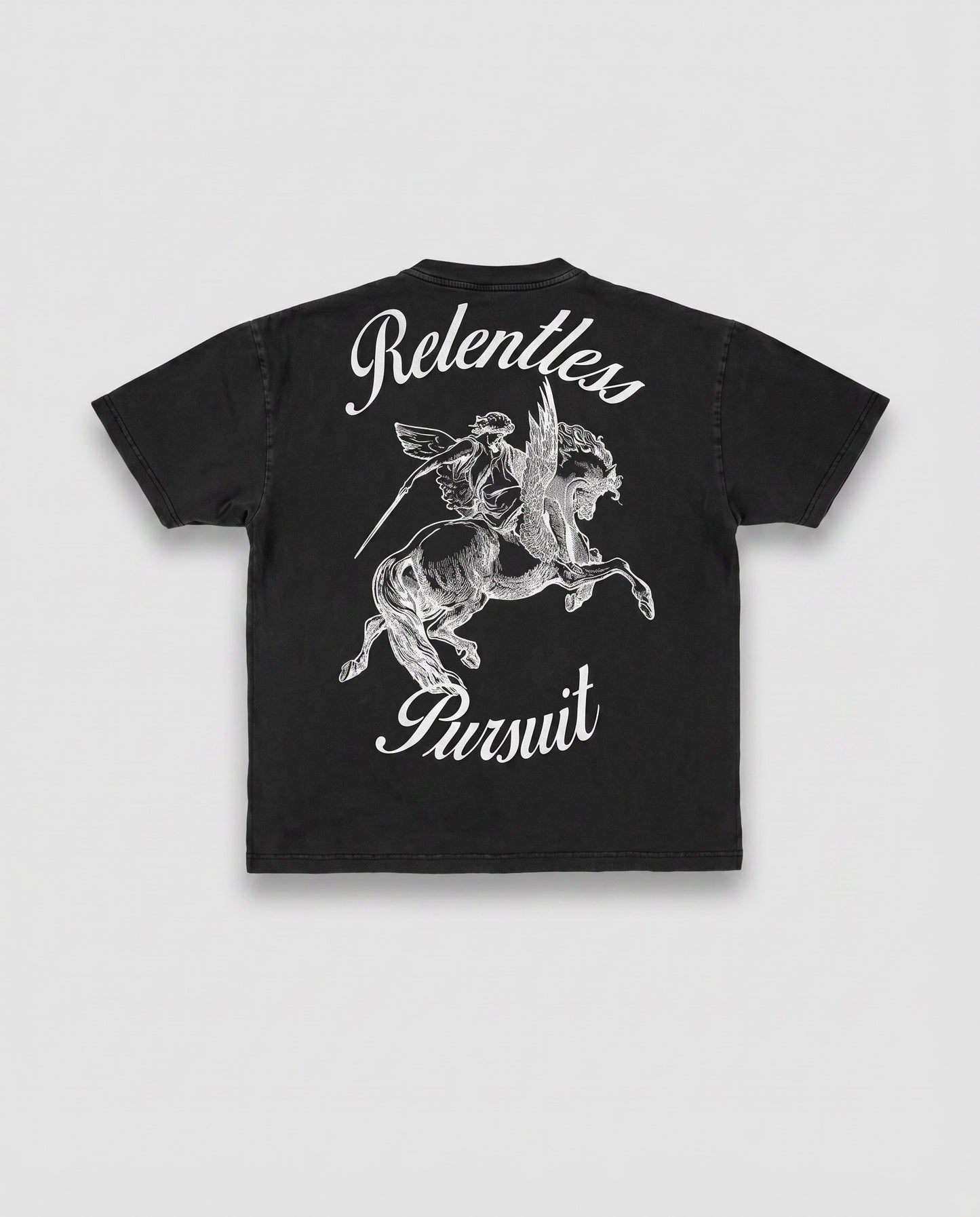 Pegasus T Shirt