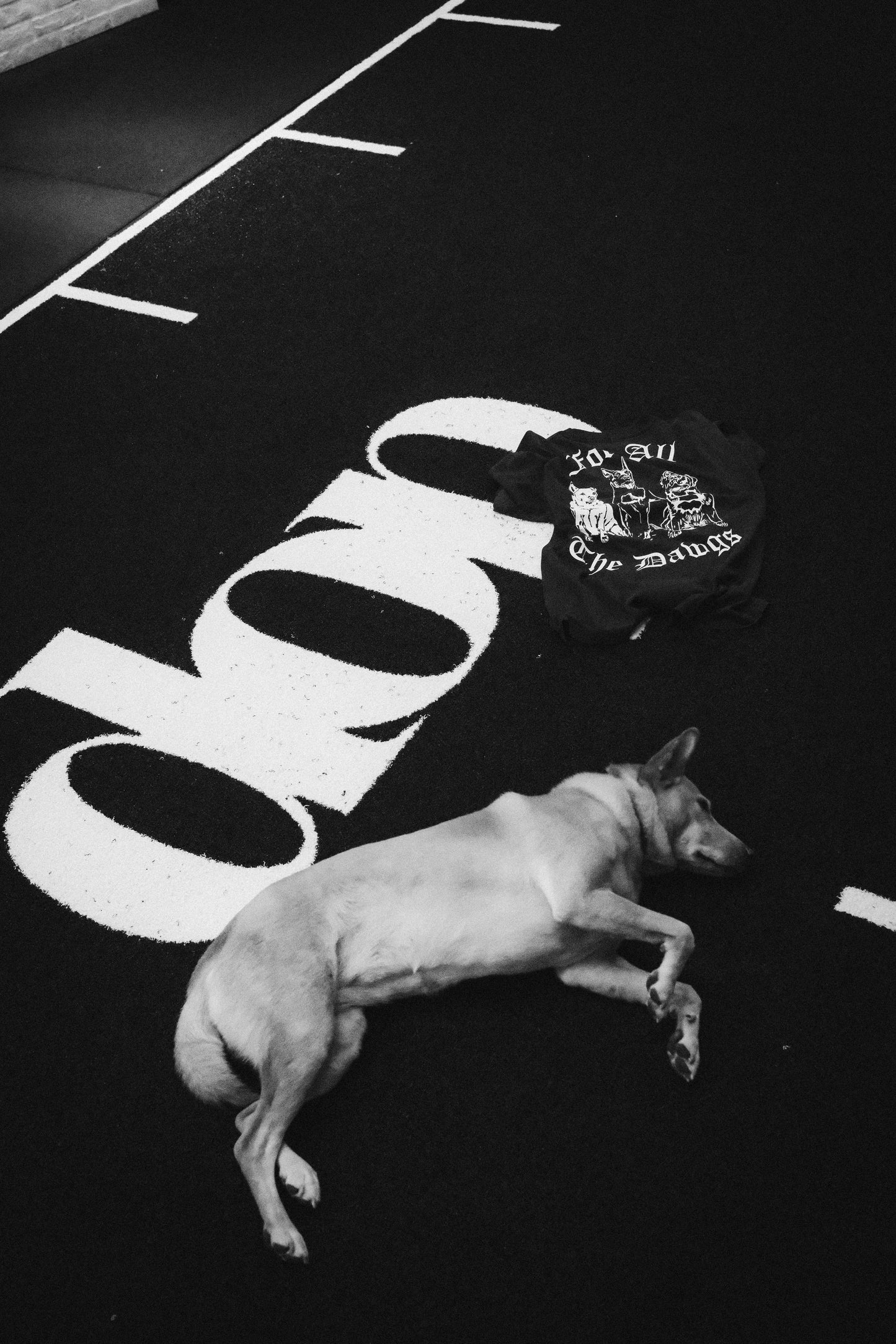 SPCA x DOP - For All The Dawgs